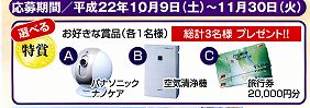 20101009_112800045